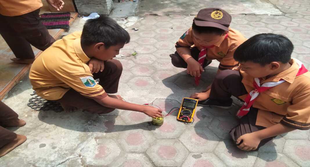 BATERAI RAMAH LINGKUNGAN (BIOBATERAI)